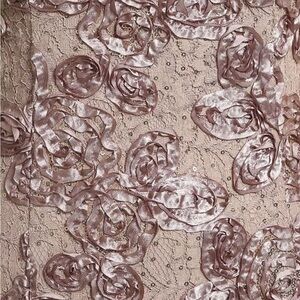 ALEX EVENINGS Rosette A-Line Gown Champagne Size 12